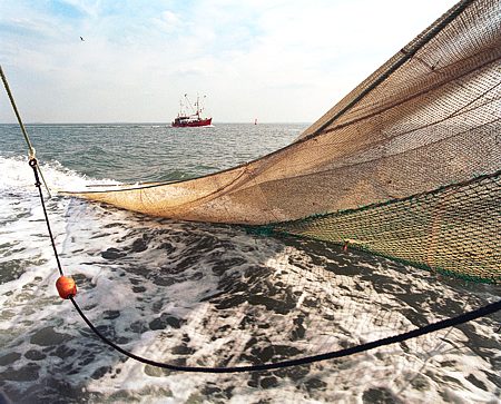 Foto aus der Fotogruppe 