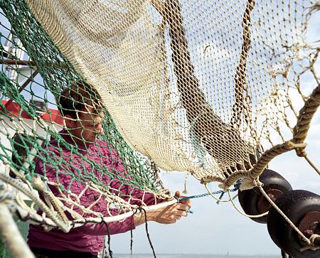 Foto aus der Fotogruppe 