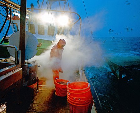 Foto aus der Fotogruppe 