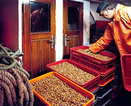 Foto aus der Fotogruppe 