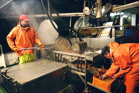 Foto aus der Fotogruppe 