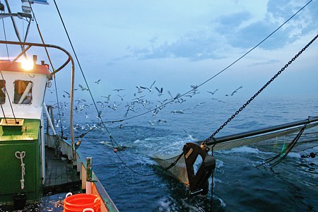 Foto aus der Fotogruppe 