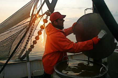 Foto aus der Fotogruppe 