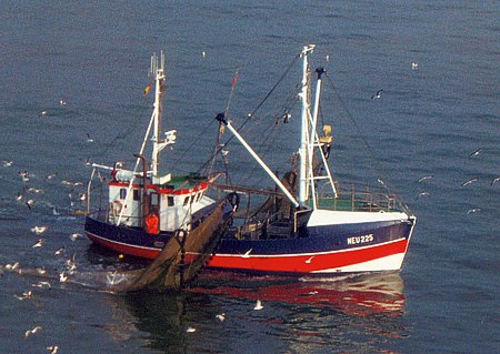 Foto aus der Fotogruppe 